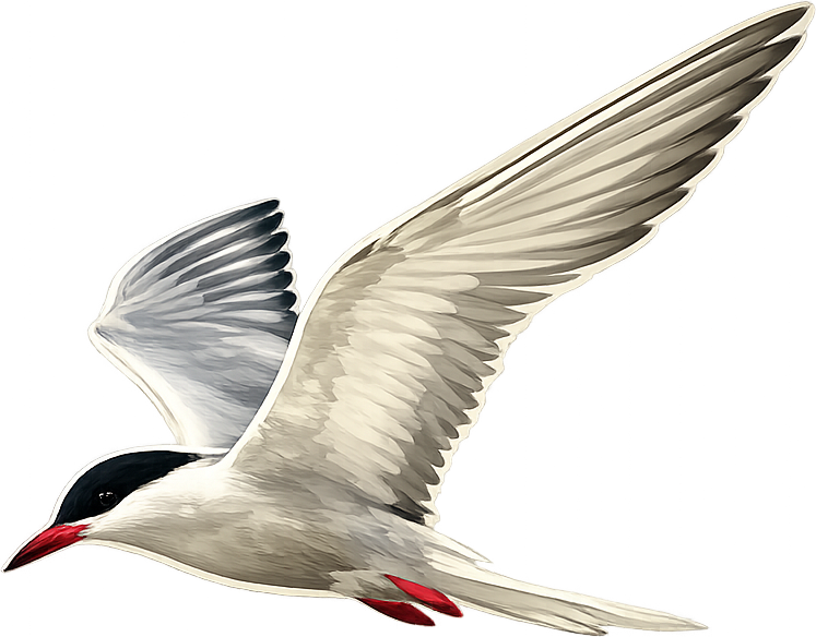 Agulhas Ocean House logo